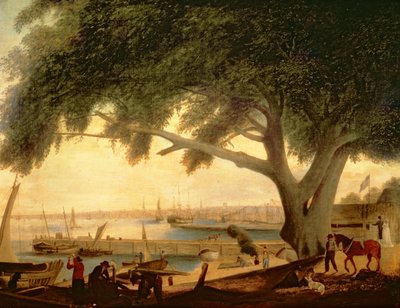 Árbol del Tratado de Penn de Thomas Birch